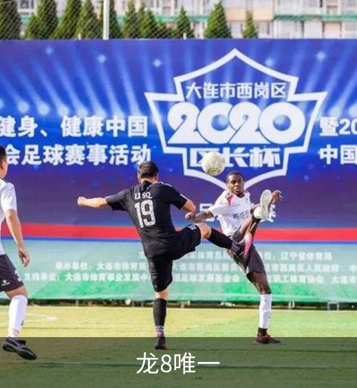 走进龙8唯一